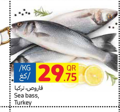  King Fish  in كارفور in قطر - أم صلال