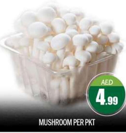  Mushroom  in BIGmart in UAE - Abu Dhabi