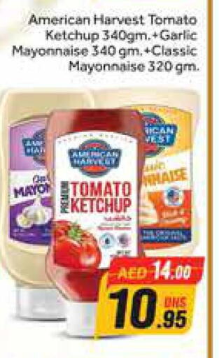 AMERICAN HARVEST Tomato Ketchup  in Azhar Al Madina Hypermarket in UAE - Dubai