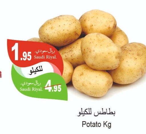  Potato  in اسواق الحفيز in مملكة العربية السعودية, السعودية, سعودية - الأحساء‎
