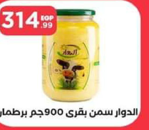  Tomato Paste  in El Mahlawy Stores in Egypt - Cairo
