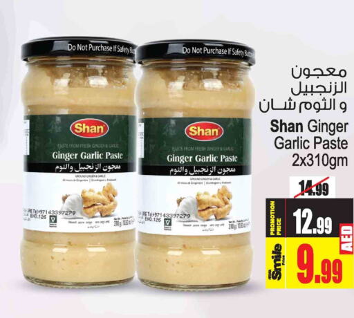 SHAN Garlic Paste  in أنصار جاليري in الإمارات العربية المتحدة , الامارات - دبي