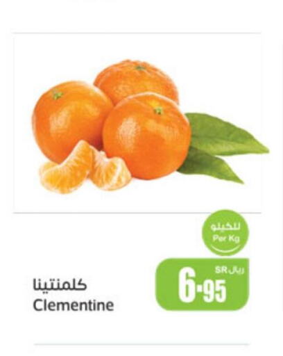  Orange  in Othaim Markets in KSA, Saudi Arabia, Saudi - Rafha