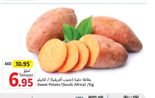  Sweet Potato  in تعاونية الاتحاد in الإمارات العربية المتحدة , الامارات - دبي