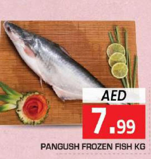  Tuna  in سنابل بني ياس in الإمارات العربية المتحدة , الامارات - رَأْس ٱلْخَيْمَة