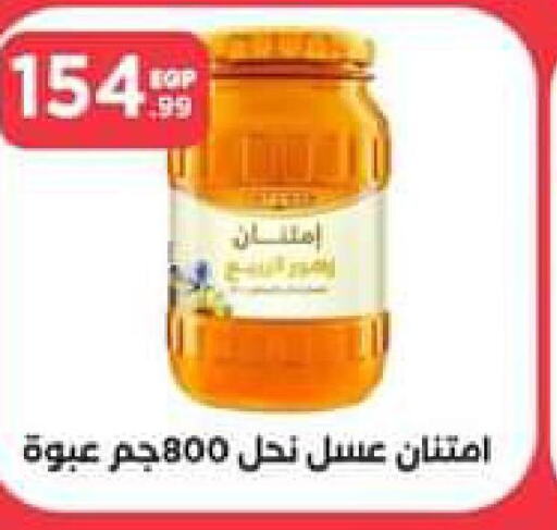  Honey  in El Mahlawy Stores in Egypt - Cairo