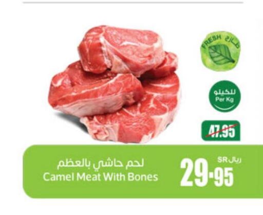  Camel meat  in أسواق عبد الله العثيم in مملكة العربية السعودية, السعودية, سعودية - خميس مشيط