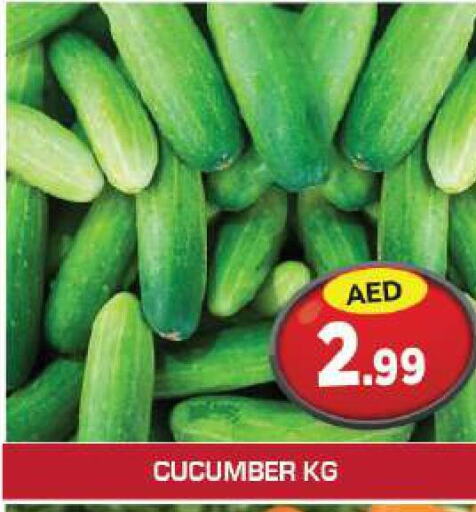  Cucumber  in سنابل بني ياس in الإمارات العربية المتحدة , الامارات - الشارقة / عجمان
