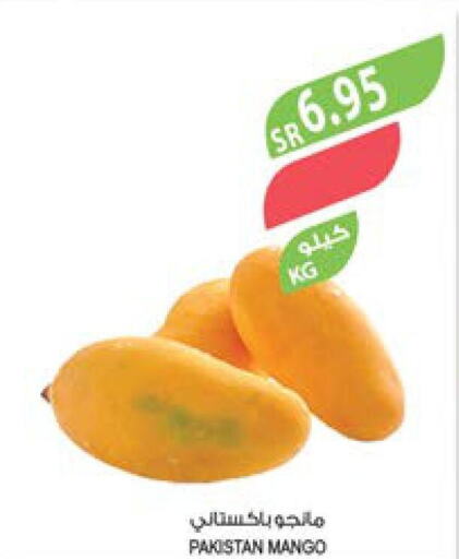  Mango  in Farm  in KSA, Saudi Arabia, Saudi - Dammam