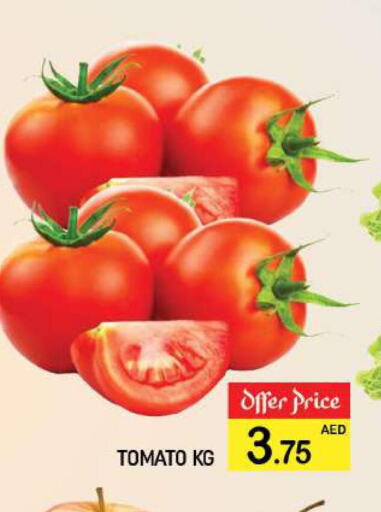  Tomato  in المدينة in الإمارات العربية المتحدة , الامارات - دبي