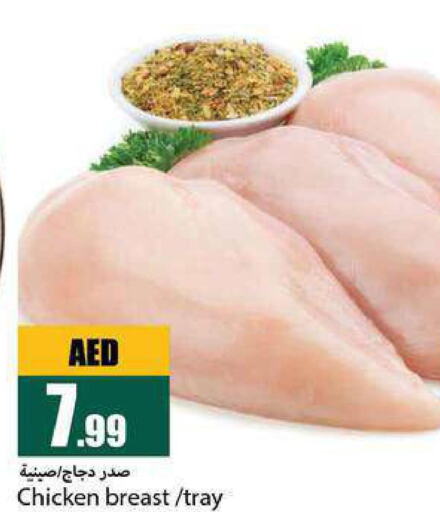  Chicken Breast  in Rawabi Market Ajman in UAE - Sharjah / Ajman