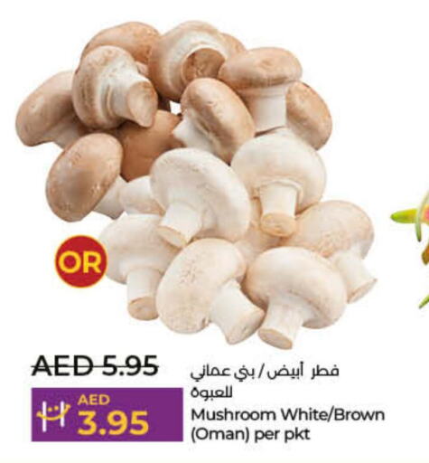  Mushroom  in Lulu Hypermarket in UAE - Umm al Quwain