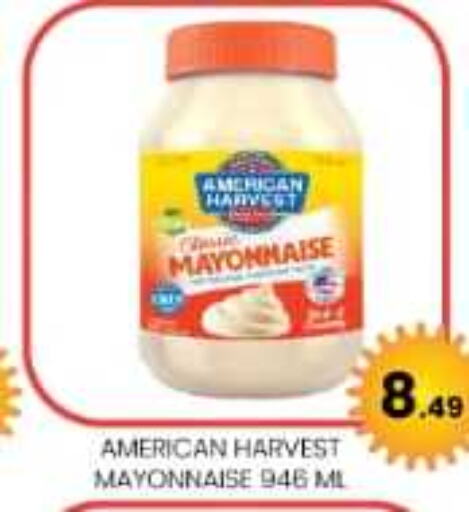 AMERICAN HARVEST Mayonnaise  in A One Supermarket L.L.C  in UAE - Abu Dhabi