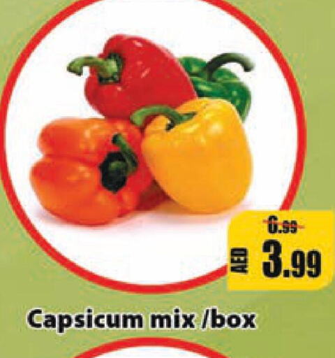  Chilli / Capsicum  in ليبتس هايبرماركت in الإمارات العربية المتحدة , الامارات - أم القيوين‎