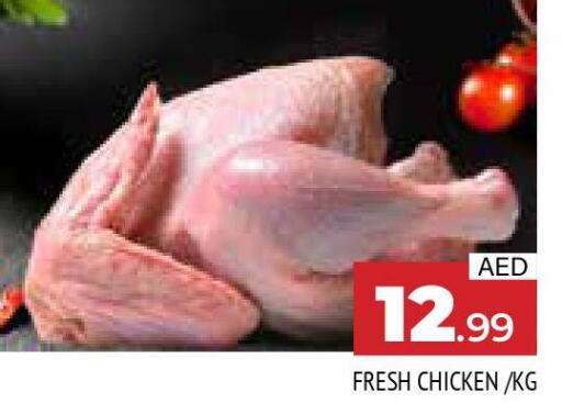  Fresh Chicken  in AL MADINA in UAE - Sharjah / Ajman