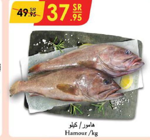  King Fish  in الدانوب in مملكة العربية السعودية, السعودية, سعودية - المنطقة الشرقية
