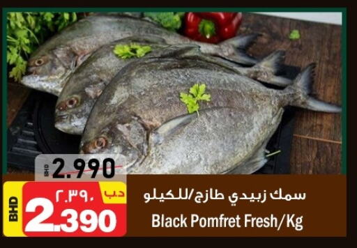  King Fish  in NESTO  in Bahrain