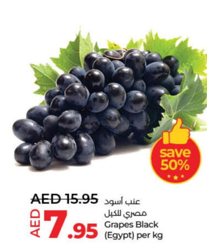  Grapes  in لولو هايبرماركت in الإمارات العربية المتحدة , الامارات - دبي