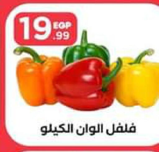  Chilli / Capsicum  in El Mahlawy Stores in Egypt - Cairo