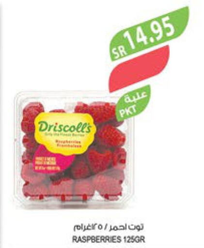  Berries  in المزرعة in مملكة العربية السعودية, السعودية, سعودية - الخفجي