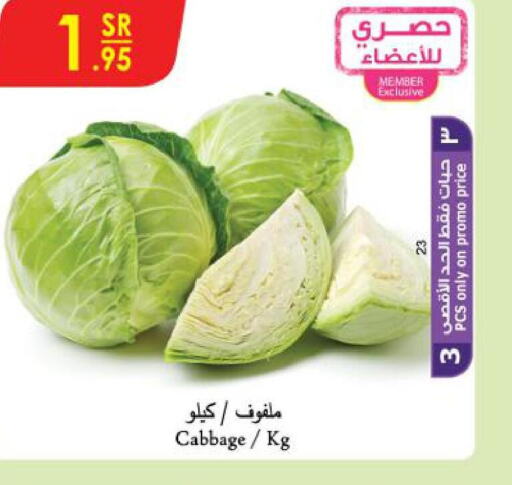  Cabbage  in Danube in KSA, Saudi Arabia, Saudi - Abha