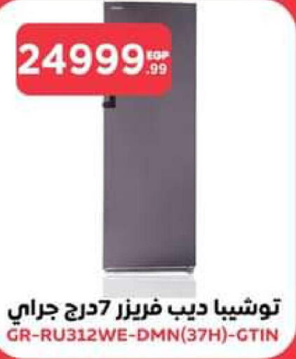 TOSHIBA Freezer  in El Mahlawy Stores in Egypt - Cairo