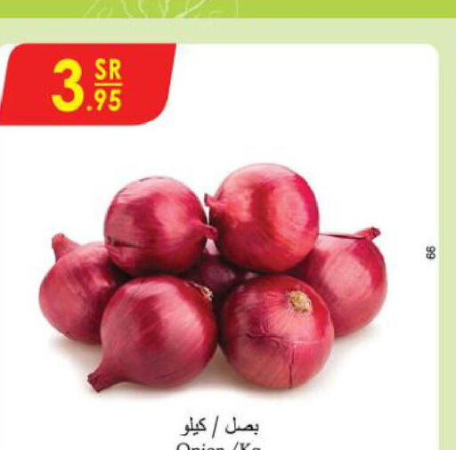  Onion  in الدانوب in مملكة العربية السعودية, السعودية, سعودية - الجبيل‎