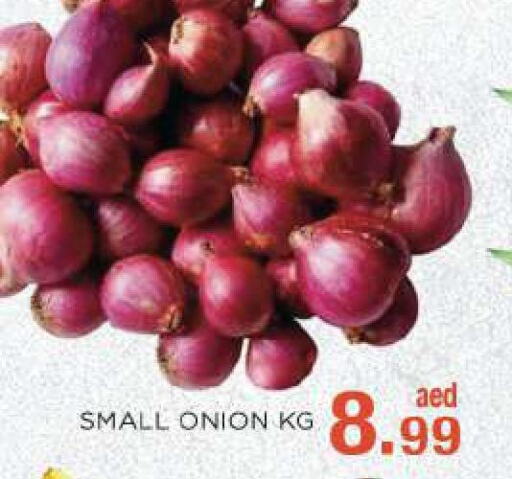  Onion  in سي. ام. هايبرماركت in الإمارات العربية المتحدة , الامارات - أبو ظبي
