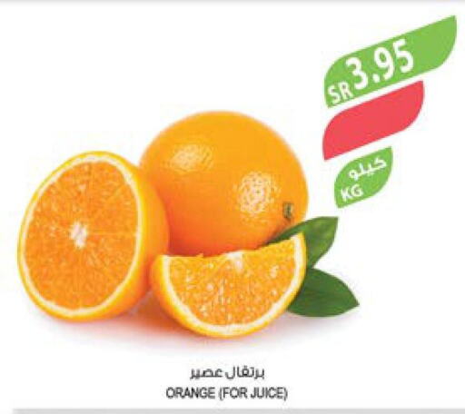  Orange  in Farm  in KSA, Saudi Arabia, Saudi - Khafji