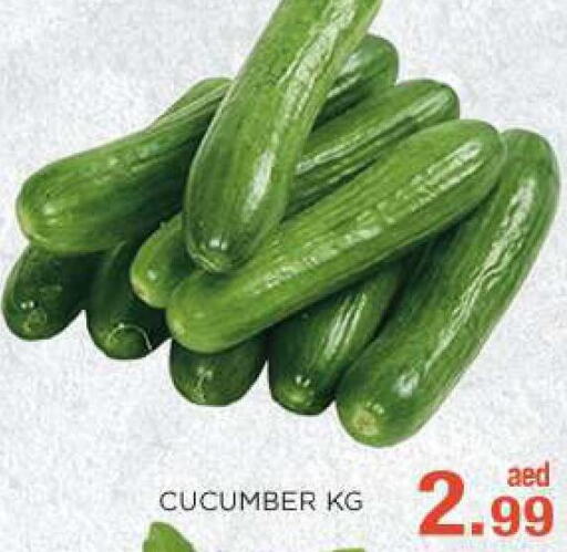  Cucumber  in سي. ام. هايبرماركت in الإمارات العربية المتحدة , الامارات - أبو ظبي