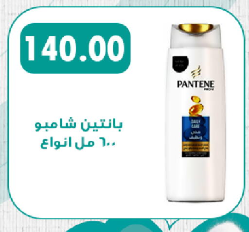 PANTENE Shampoo / Conditioner  in هايبر سامي سلامة وأولاده in Egypt - القاهرة