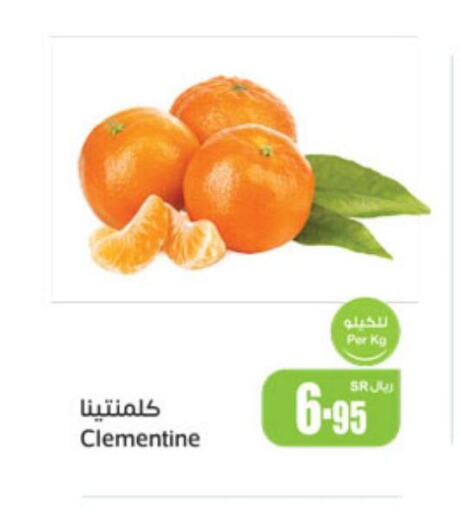  Orange  in أسواق عبد الله العثيم in مملكة العربية السعودية, السعودية, سعودية - سكاكا