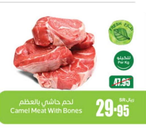  Camel meat  in Othaim Markets in KSA, Saudi Arabia, Saudi - Al Hasa
