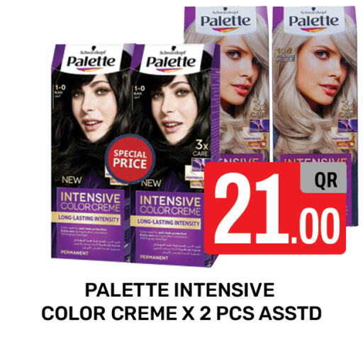 PALETTE Hair Colour  in مجلس هايبرماركت in قطر - الريان