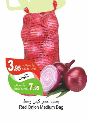 Onion  in اسواق الحفيز in مملكة العربية السعودية, السعودية, سعودية - الأحساء‎