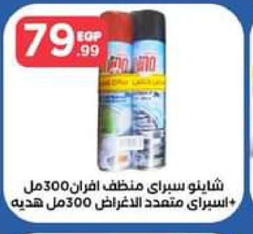  General Cleaner  in El Mahlawy Stores in Egypt - Cairo