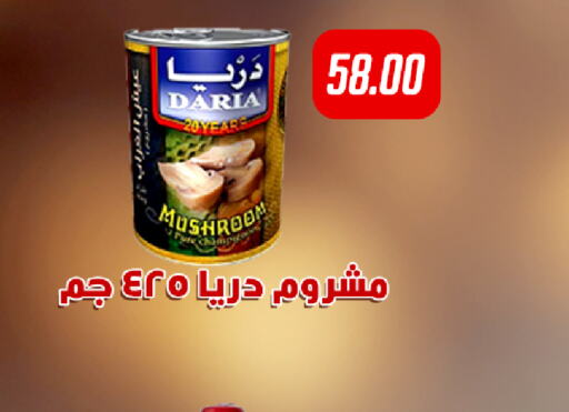  Fava Beans  in هايبر سامي سلامة وأولاده in Egypt - القاهرة