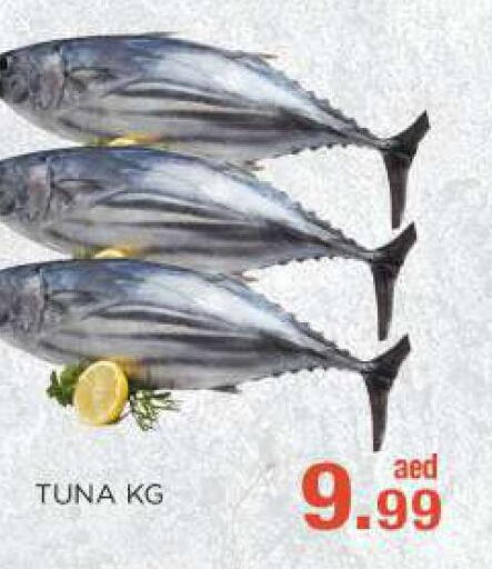  Tuna  in سي. ام. هايبرماركت in الإمارات العربية المتحدة , الامارات - أبو ظبي