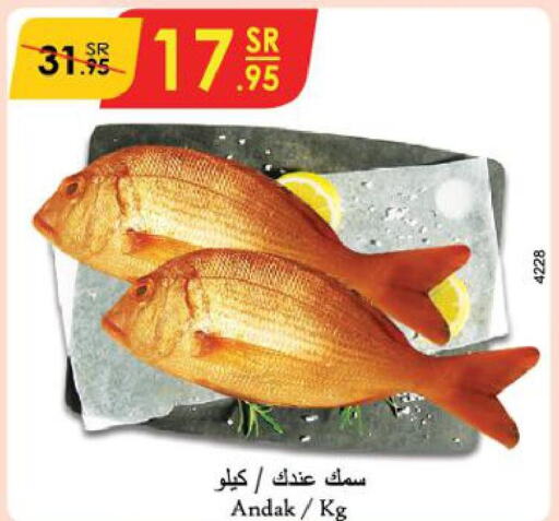  King Fish  in الدانوب in مملكة العربية السعودية, السعودية, سعودية - الأحساء‎