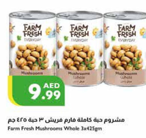 AMERICANA Fava Beans  in Istanbul Supermarket in UAE - Abu Dhabi