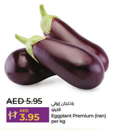  Onion  in لولو هايبرماركت in الإمارات العربية المتحدة , الامارات - أم القيوين‎