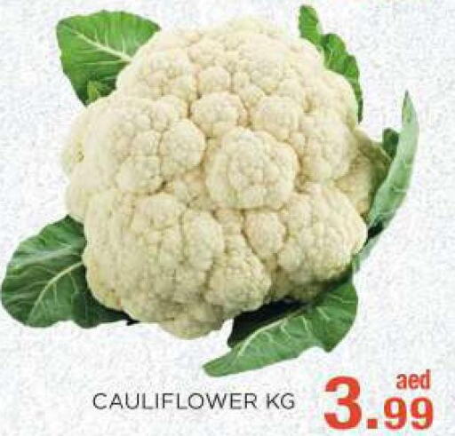  Cauliflower  in سي. ام. هايبرماركت in الإمارات العربية المتحدة , الامارات - أبو ظبي