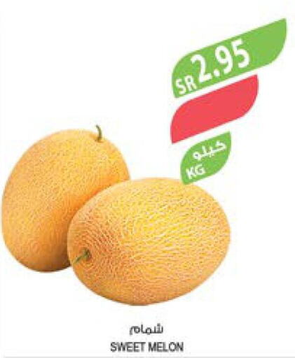 Sweet melon  in المزرعة in مملكة العربية السعودية, السعودية, سعودية - عرعر
