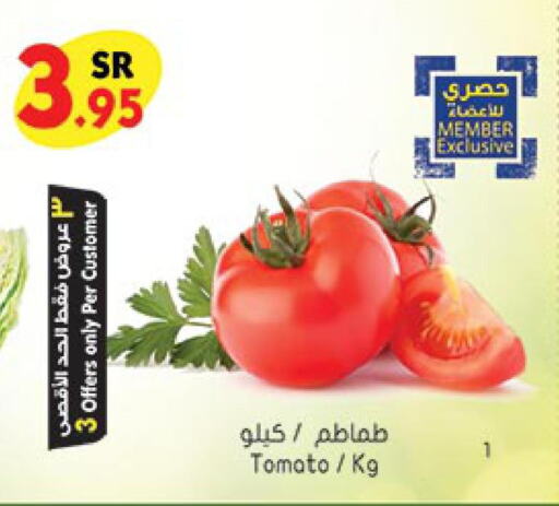  Tomato  in Bin Dawood in KSA, Saudi Arabia, Saudi - Jeddah