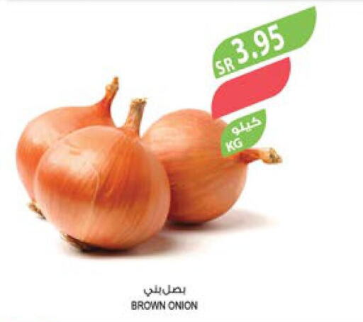  Onion  in المزرعة in مملكة العربية السعودية, السعودية, سعودية - الباحة