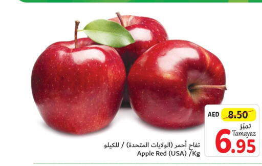  Apples  in تعاونية الاتحاد in الإمارات العربية المتحدة , الامارات - دبي