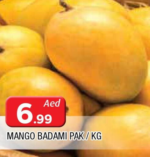  Mango  in AL MADINA in UAE - Sharjah / Ajman