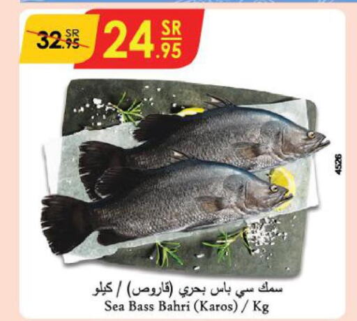  King Fish  in Danube in KSA, Saudi Arabia, Saudi - Jubail