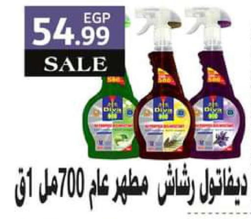  Disinfectant  in El Mahlawy Stores in Egypt - Cairo