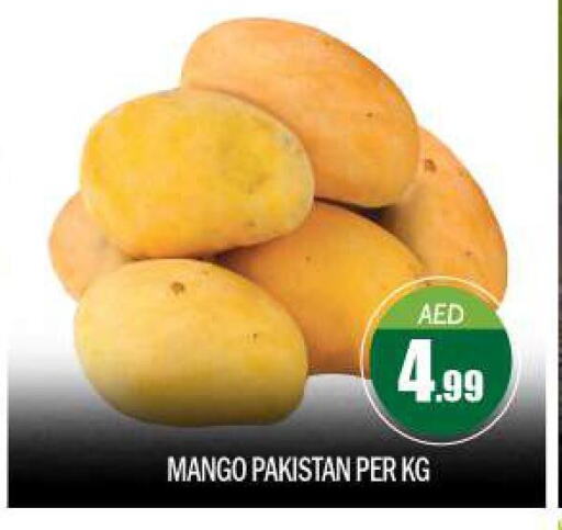 Mango  in بيج مارت in الإمارات العربية المتحدة , الامارات - أبو ظبي
